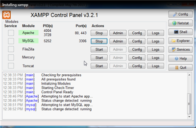 Start XAMPP Services