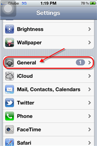 iPhone 4S Settings General
